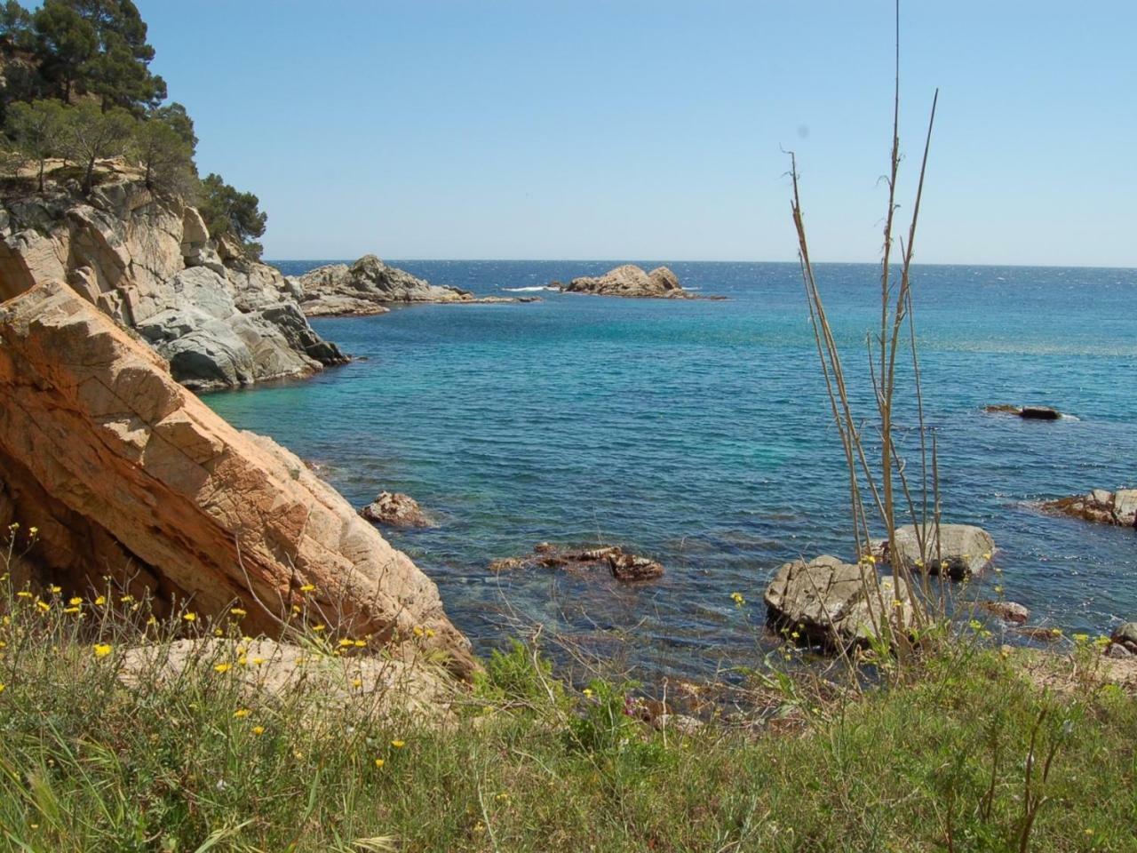 Studios Face A La Mer - Cala Llevado Tossa de Mar Exteriör bild