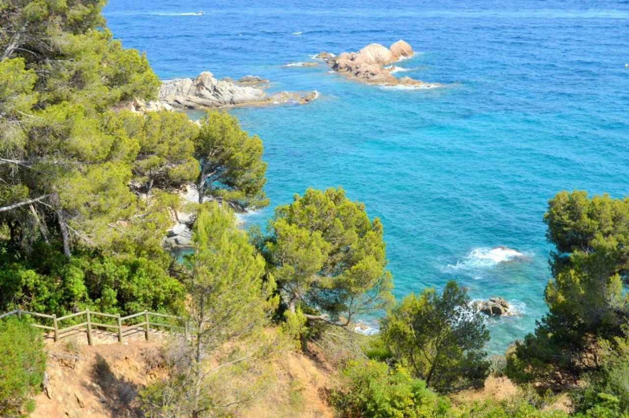 Studios Face A La Mer - Cala Llevado Tossa de Mar Exteriör bild